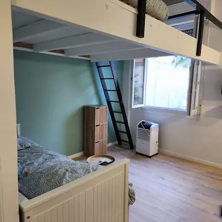 Superbe Au Coeur De ! * 尼斯